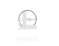 中(zhōng)國石化